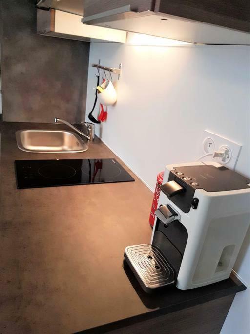 Tres Bel Appartement Centre Vitre Kültér fotó